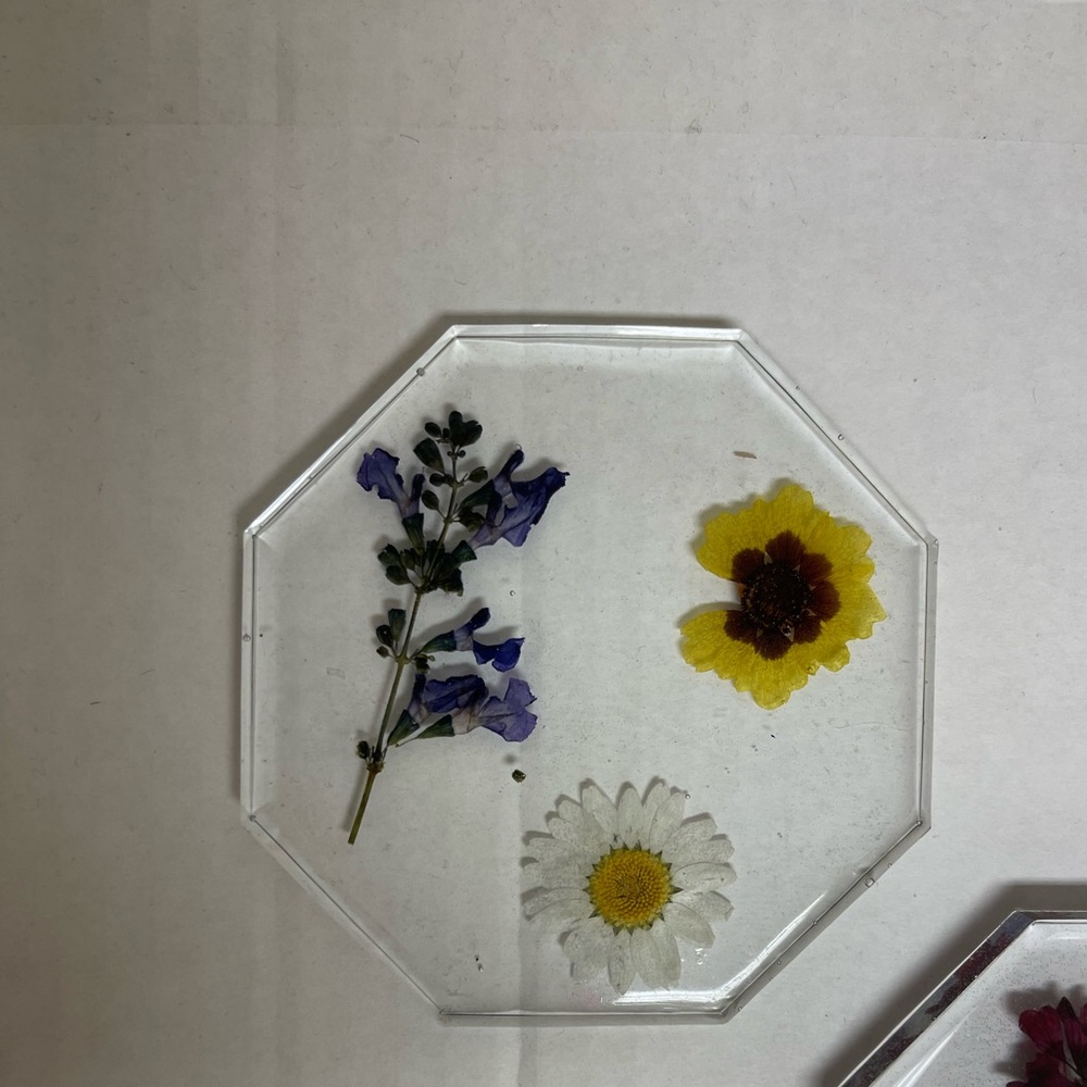 Botanical coasters - Picture 4 of 7